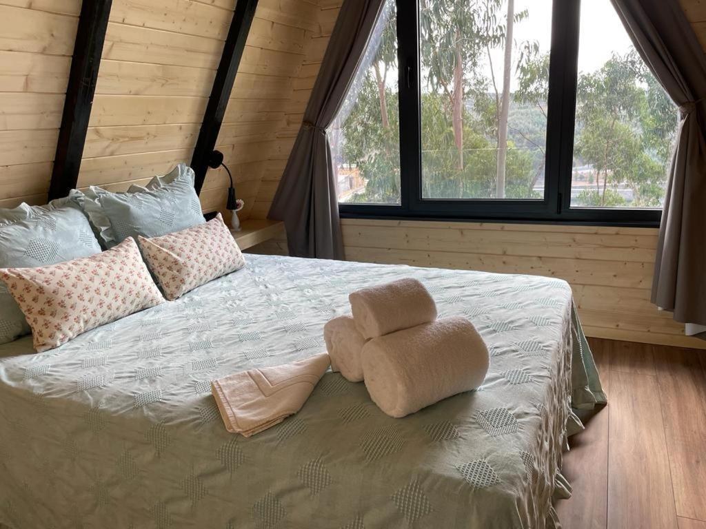 Medronho D'Ouro Bungalows Foz do Sousa Екстер'єр фото